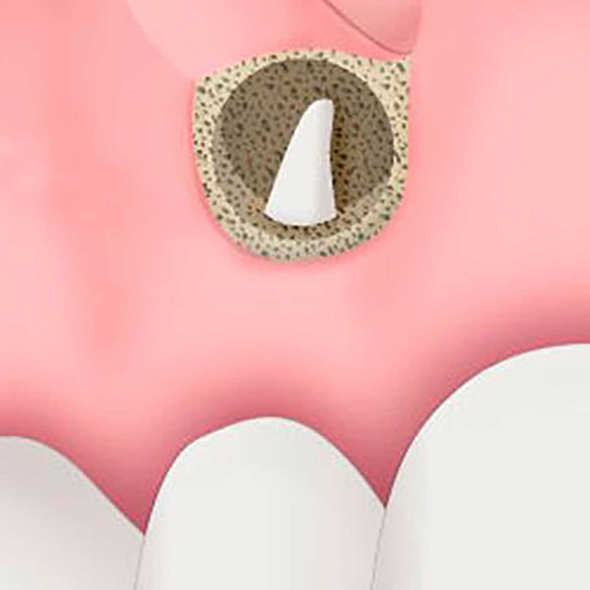 Dentista in centro a Milano
